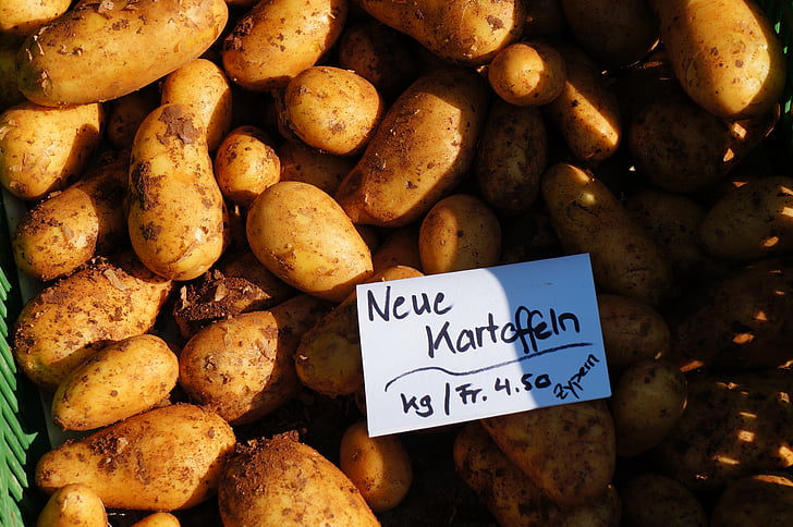 patates, l'agricultura, mercat, verdures, menjar, Bauer, Bio