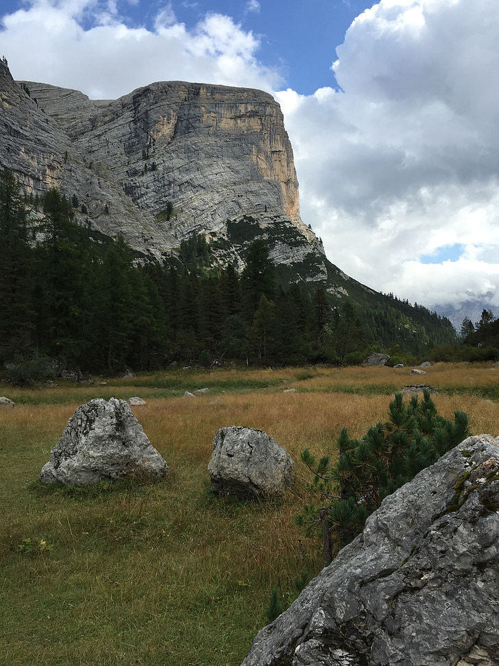 Dolomites, montagnes, paysage, nature, Forest, Italie