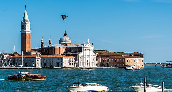 Venise, Italie, oiseau en vol, canal, voyage, eau, Italien