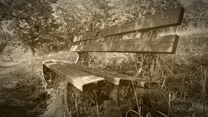 bank, bench, out, seat, rest, wooden bench, sit