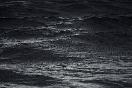 corpo, água, oceano, mar, ondas, preto e branco, planos de fundo
