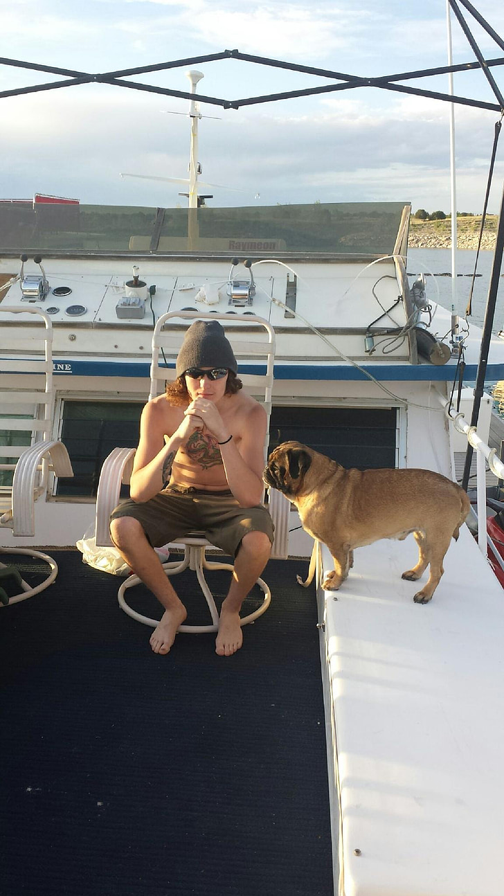 Pug, perahu, musim panas, di luar rumah