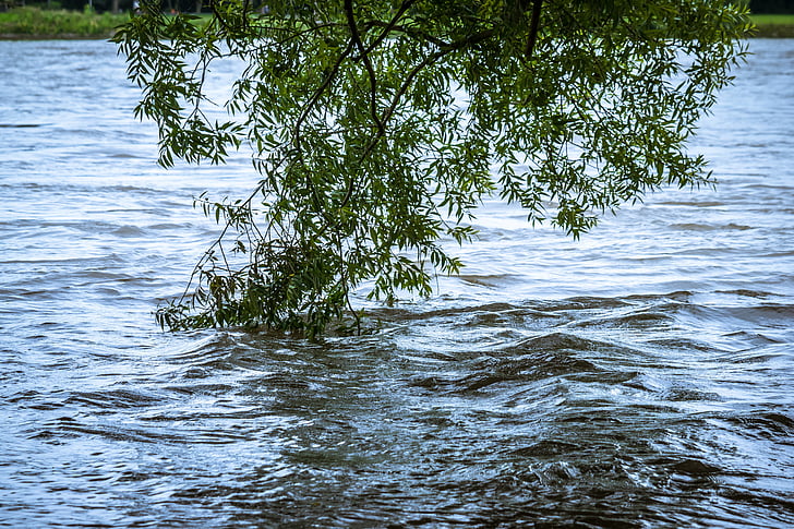 υψηλή περιεκτικότητα σε νερό, Ποταμός, ο Μπους, τρέχουσα, Ρήνος, πλημμύρα, πλημμύρες