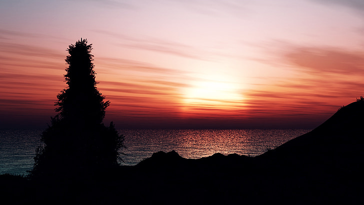 solnedgång, havet, träd, Rock, solen, Afterglow, Horisont