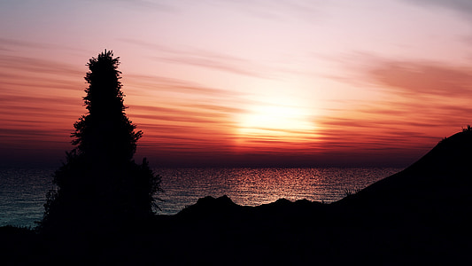 tramonto, mare, albero, roccia, sole, Afterglow, orizzonte