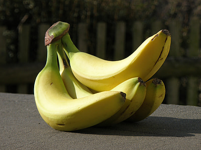 bananas, amarelo, cluster de, frutas, exterior