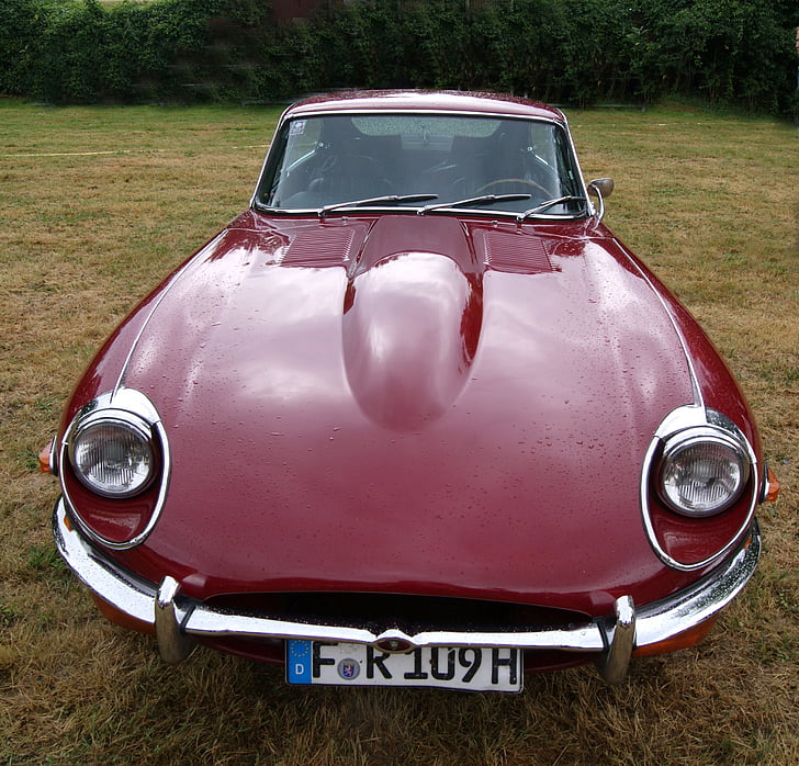 Auto, Jaguar, e tipo, priekyje, raudona, variklis, dangtis