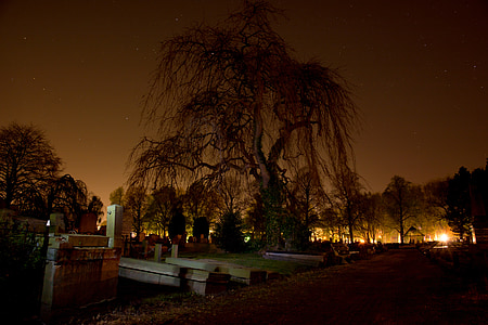 cemitério, sepulturas, árvore, assustador, à noite, marcas de exclusão, cemitério