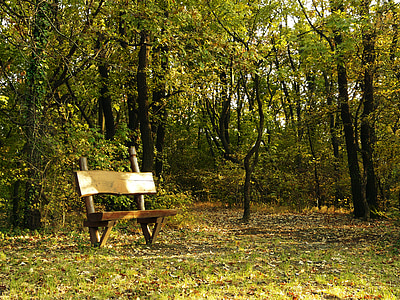 板凳, 秋天, 秋天, 公园, 自然, 赛季, 黄色