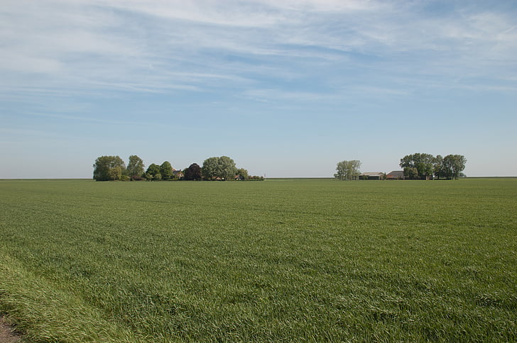 Groningen, polje, širok, polja