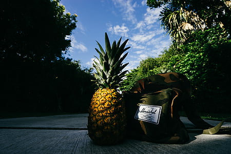 vandring, ryggsäck, ön, naturliga, ananas