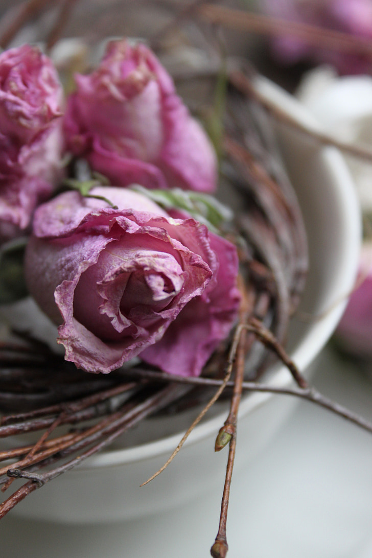 pink roses, decoration, dried, cup of, branches