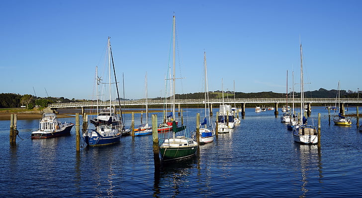 port, seilbåter, Yacht, New zealand, Nordøya, Maritime, nautiske fartøy