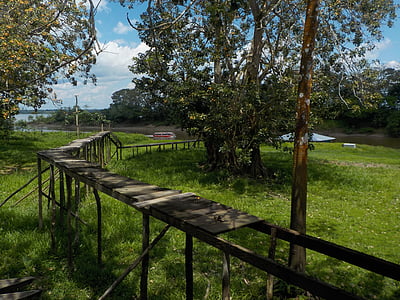 Amazon, džungļi, tilts, nariño port, ainava, koki
