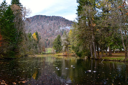 jezero, podzim, Barva, strom, Příroda, krajina, Les