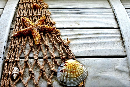 marittimo, casella, legno, stelle marine, Shell, rete da pesca, cofanetto