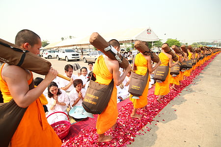 bouddhistes, moines, méditer, à pied, pétales de rose, traditions, Thaïlande