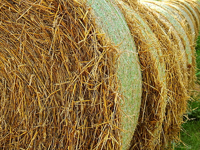 straw, field, agriculture, straw bales, round bales, landscape, hay bales