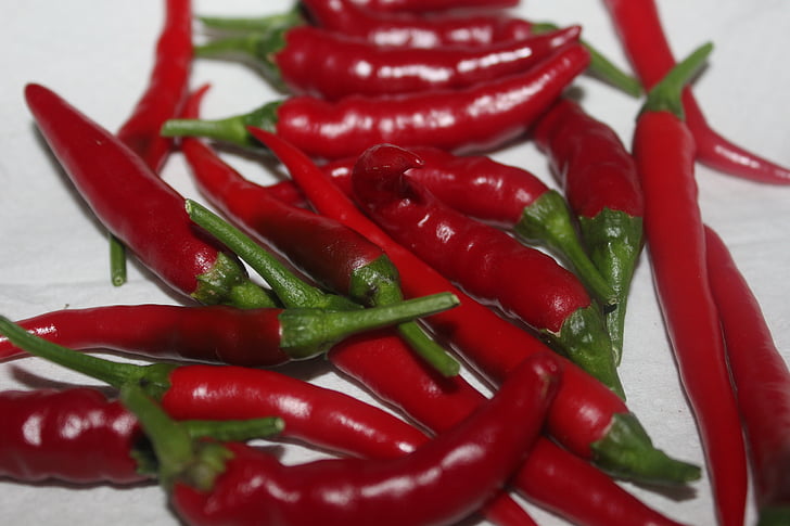 chilli, peppers, red, decorative, vegetables