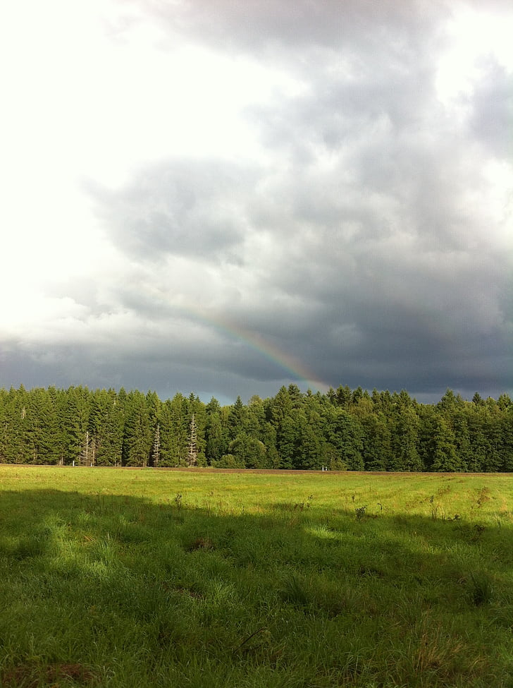 Rainbow, sommar, naturen, grön, landskap, vackert, säng