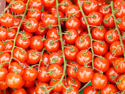 Tomaten, tomatenrispe, Gemüse, rot, Essen, Vitamine, gesund