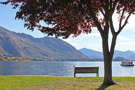 krásny, jazero, modrá, očarujúce, krása, Lake wanaka, strom