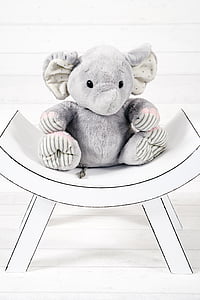 elefant, la mascota, peluix, assegut, joguina, estudi, blanc