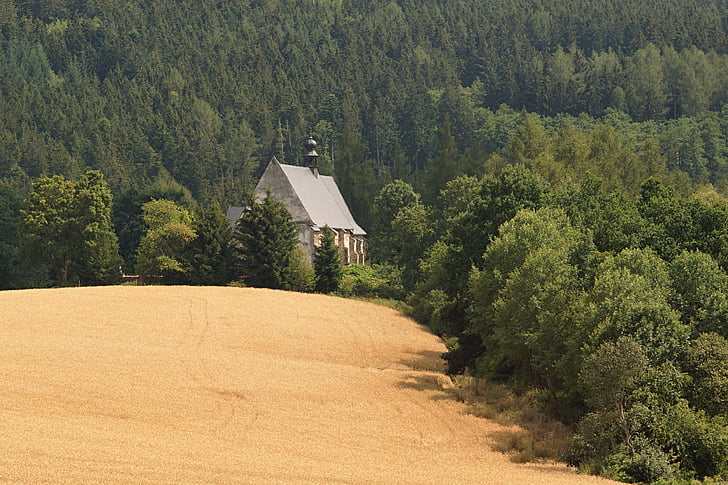 Церковь, лес, Šumava, пейзаж, velhartice, Вериха, поле