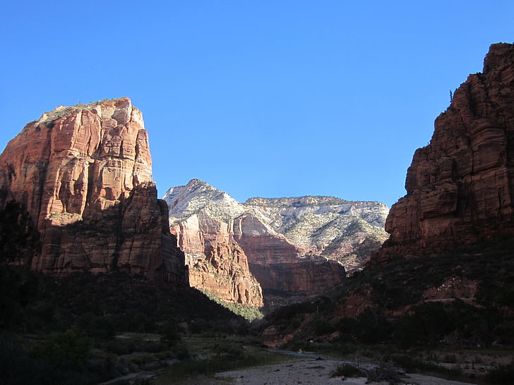Zion, kanyonlar, Zion national park, Kırmızı kaya, manzara, vahşi hayat, sahne