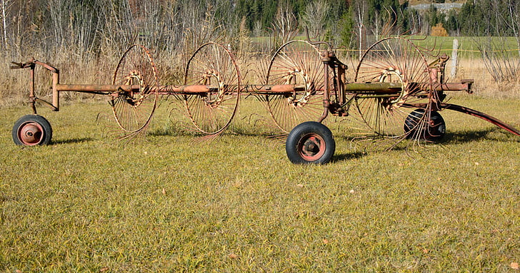 hay tedders, hay, grass, faceplate, agriculture, harvest, fieldwork
