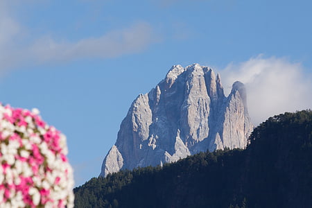 dolomites, italy, south tyrol, landscape, sassolungo, mountain, alpine