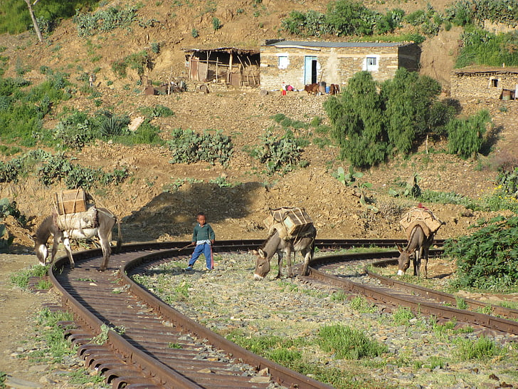 shegerini, railway, station, italy, tracks, person, donkeys