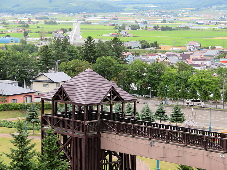 Japan, Hokkaido, vacker natur, resor, Sapporo, Furano, lavendel