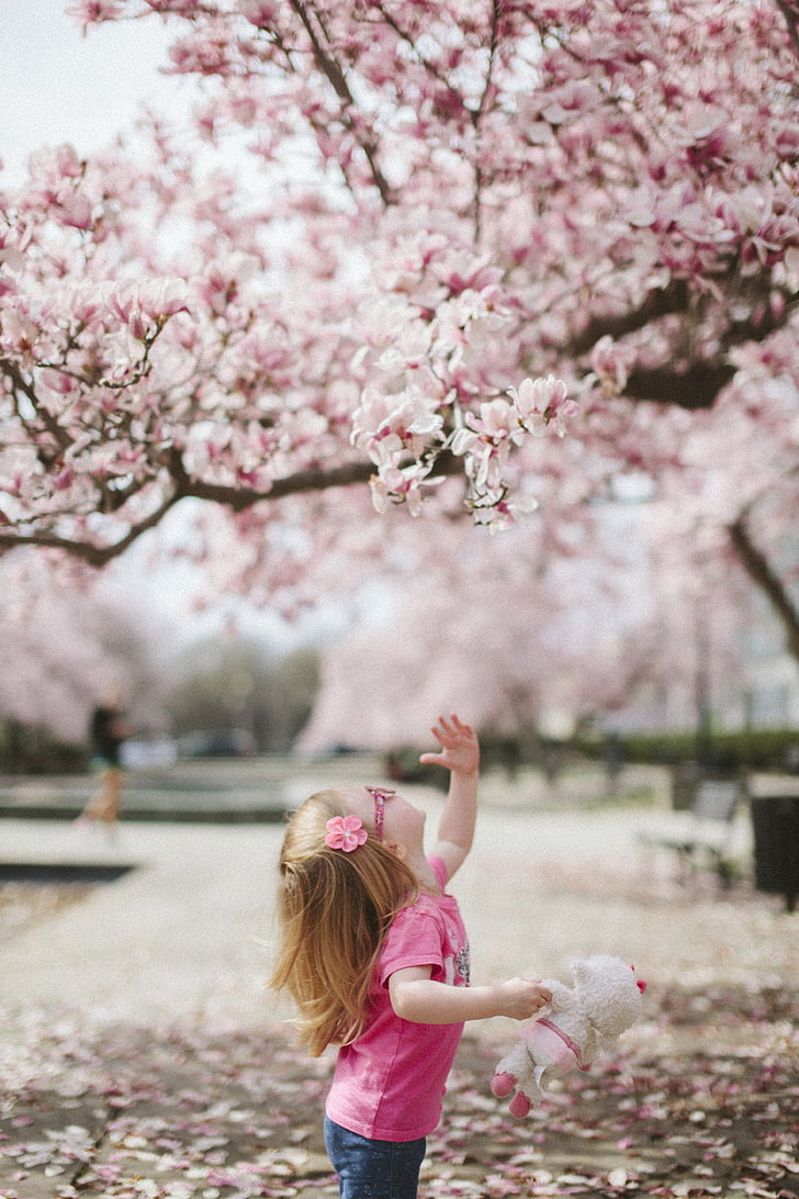 baby, bloom, blossom, flowers, kid, nature, outdoors