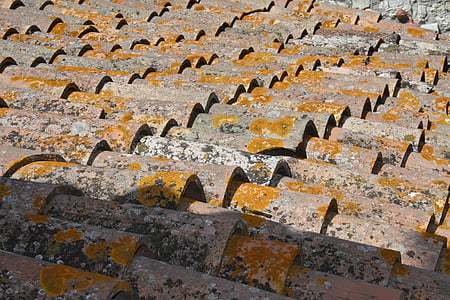 dak, tegels, Chapman, rood, patroon, in een rij