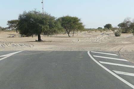 carretera, árbol, África, Ruta de acceso, Chad, final de la calle, naturaleza