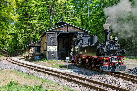 Locomotora de vapor, Històricament, Locomotora, ferrocarril, boig, nostàlgics, tren