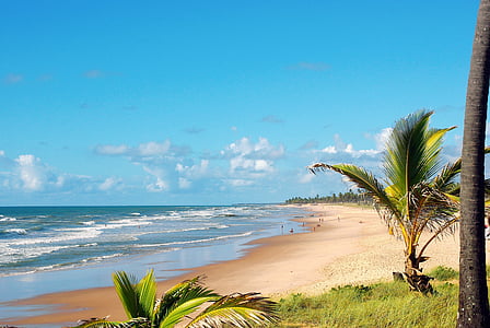 brazilwood, Costa da sauipe, oceán, pláž, pobřeží, svátek, Atlantik