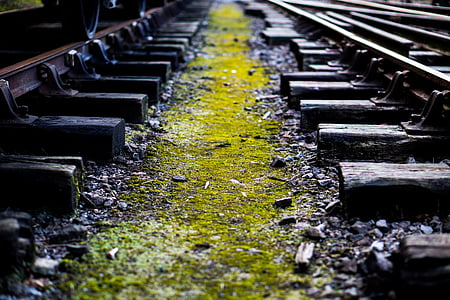 train, train tracks, railway, trainline, old, moss, rail