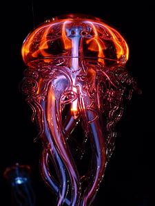 jellyfish, luminous jellyfish, light, light phenomenon, lichtspiel, glass, glasses