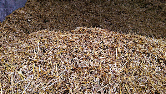 hay, farm, bedding, cows, animals, bale, agriculture
