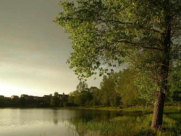 Polen, Lake, water, reflecties, bos, bomen, Woods