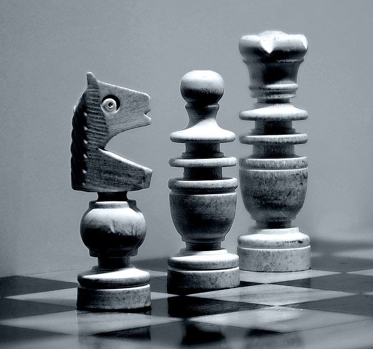 schack, schackbräde, schackpjäser, siffror, springer, kungen, Lady