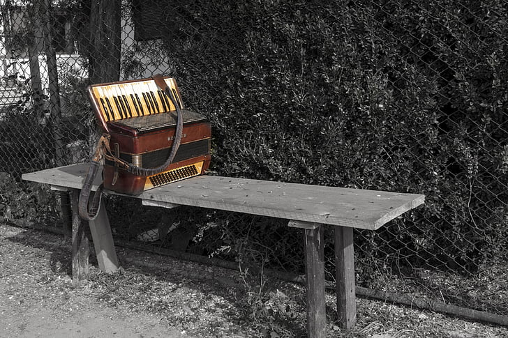 Accordion, một mình, âm nhạc, nhạc cụ, âm nhạc, chìa khóa, âm thanh