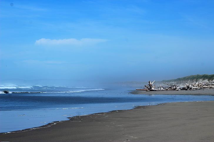 Beach driftwood, oceán, Oregon, Já?, voda, pláž, Příroda