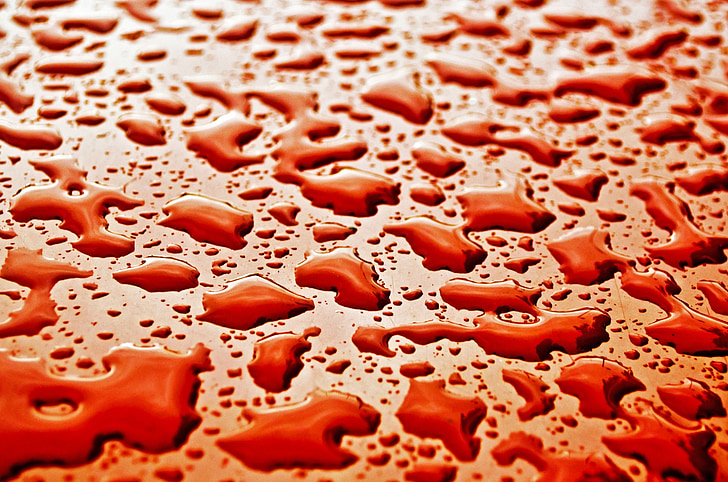 água, gotas, molhado, macro, plano de fundo, papel de parede, vermelho