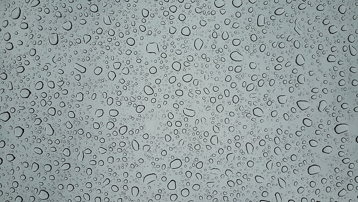 water, rain, drops, water drop, raindrop, water background, rain drops