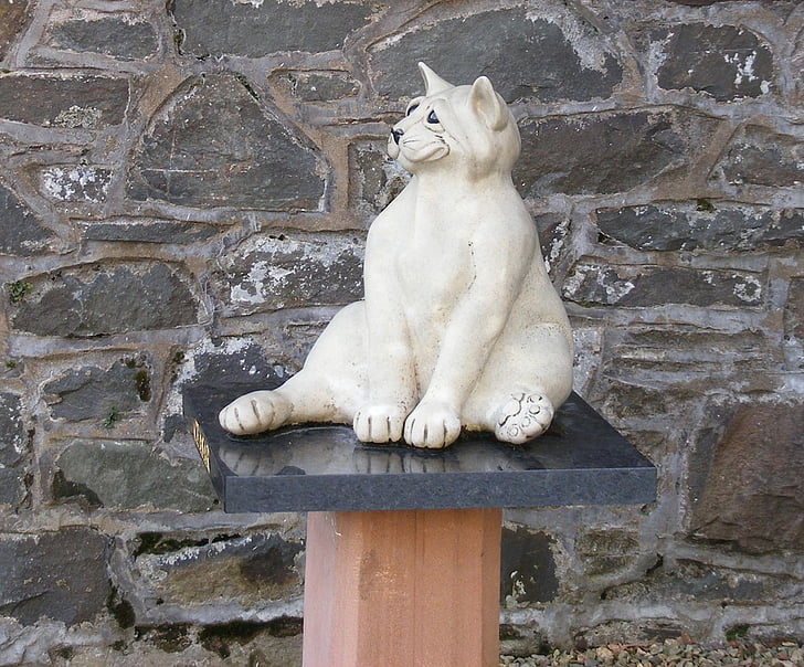 gat, estàtua, pedra, paret, figura