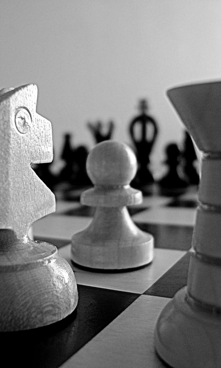 escacs, joc, estratègic, jugar, intel·ligència, afició