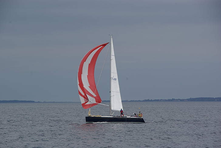 sea, sailing, sailboat